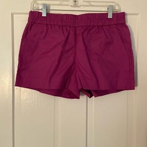 J. Crew NWT cotton elastic shorts Size 6 purple